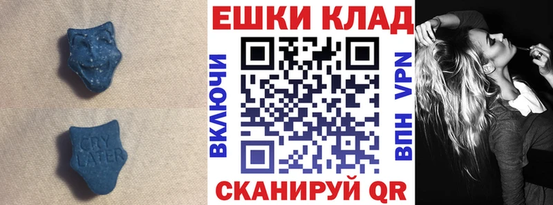 Купить закладки  Няндома  Ecstasy XTC 