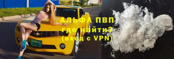 сатива Гусиноозёрск